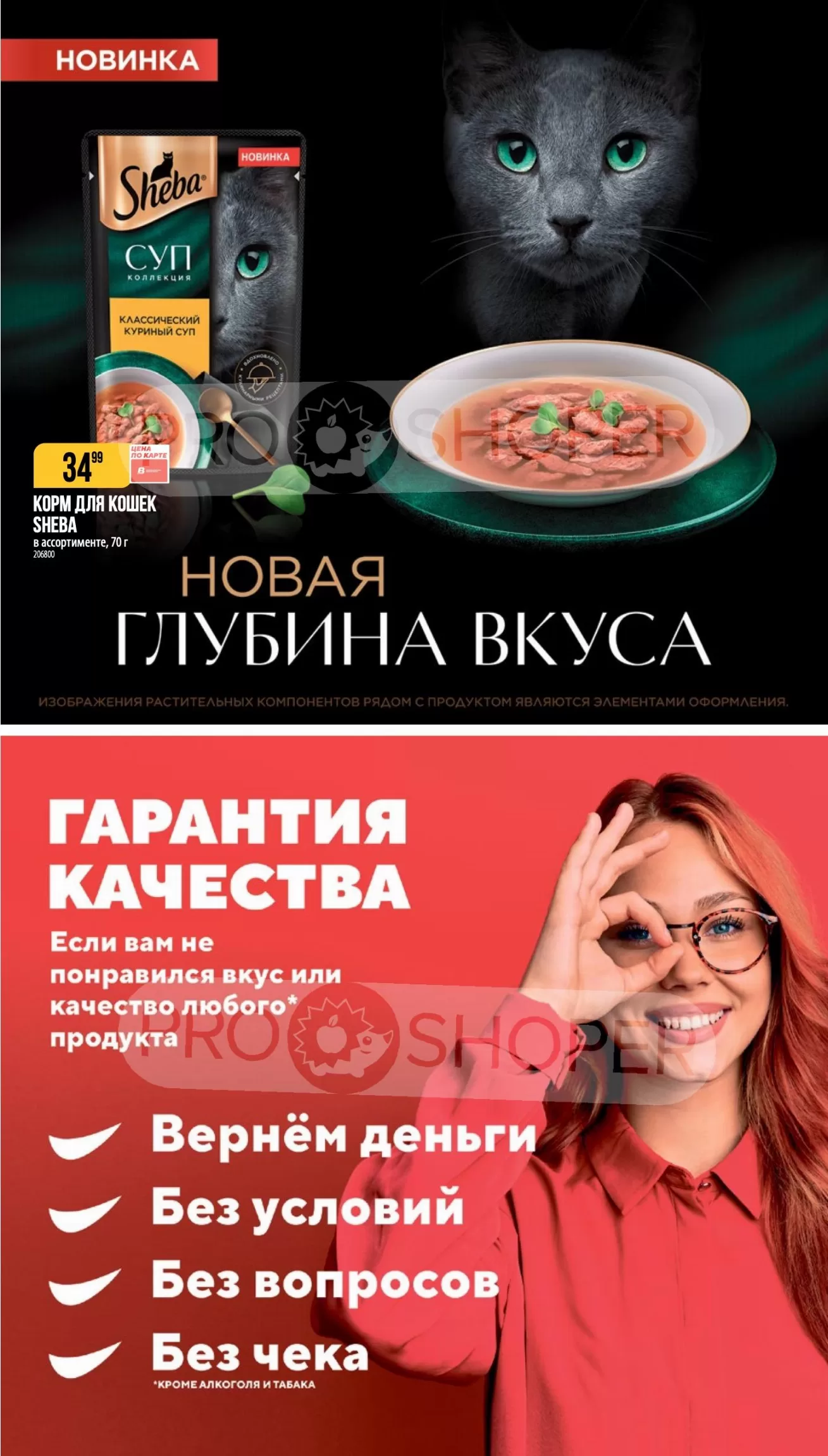 Верный — страница 31