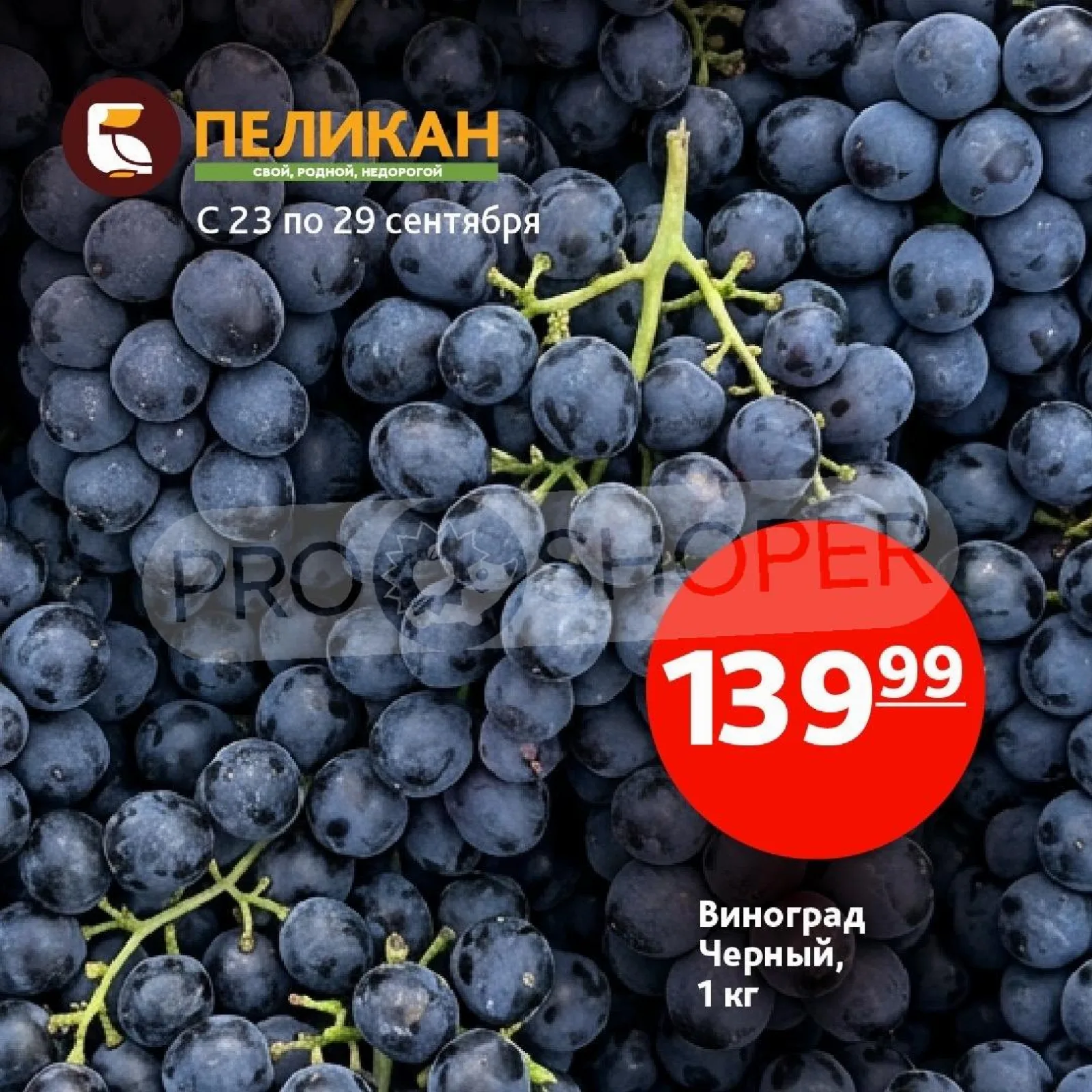 Белый Пеликан — страница 1