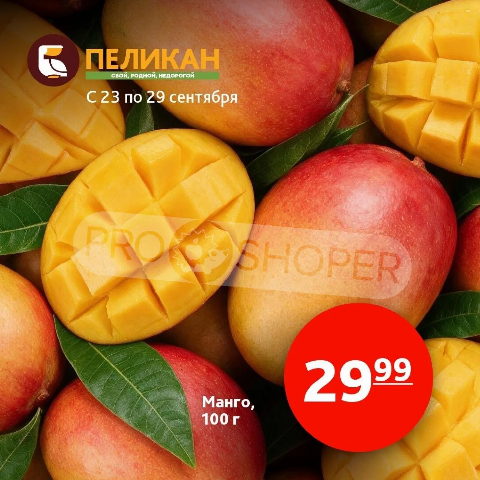 Белый Пеликан — страница 2