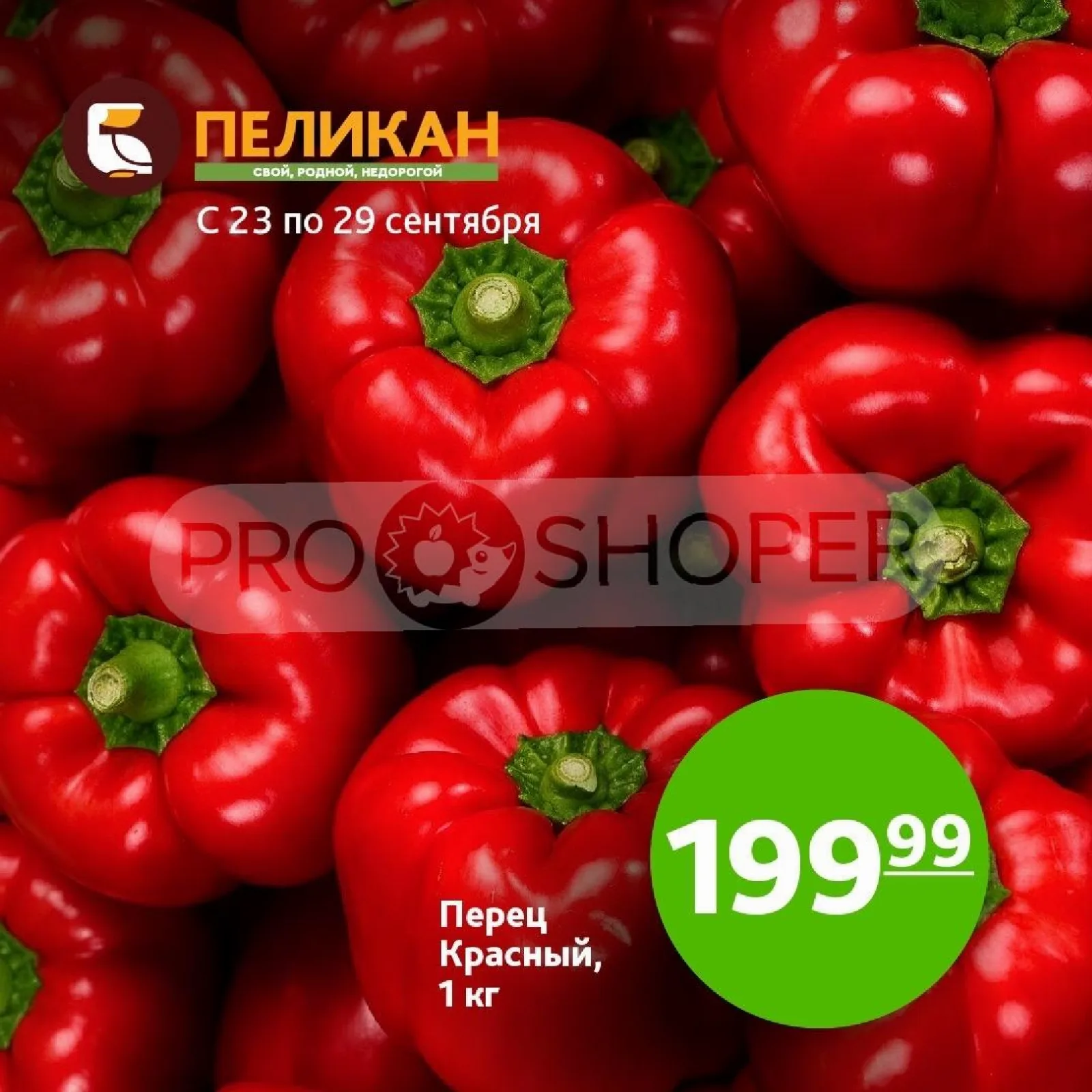 Белый Пеликан — страница 3