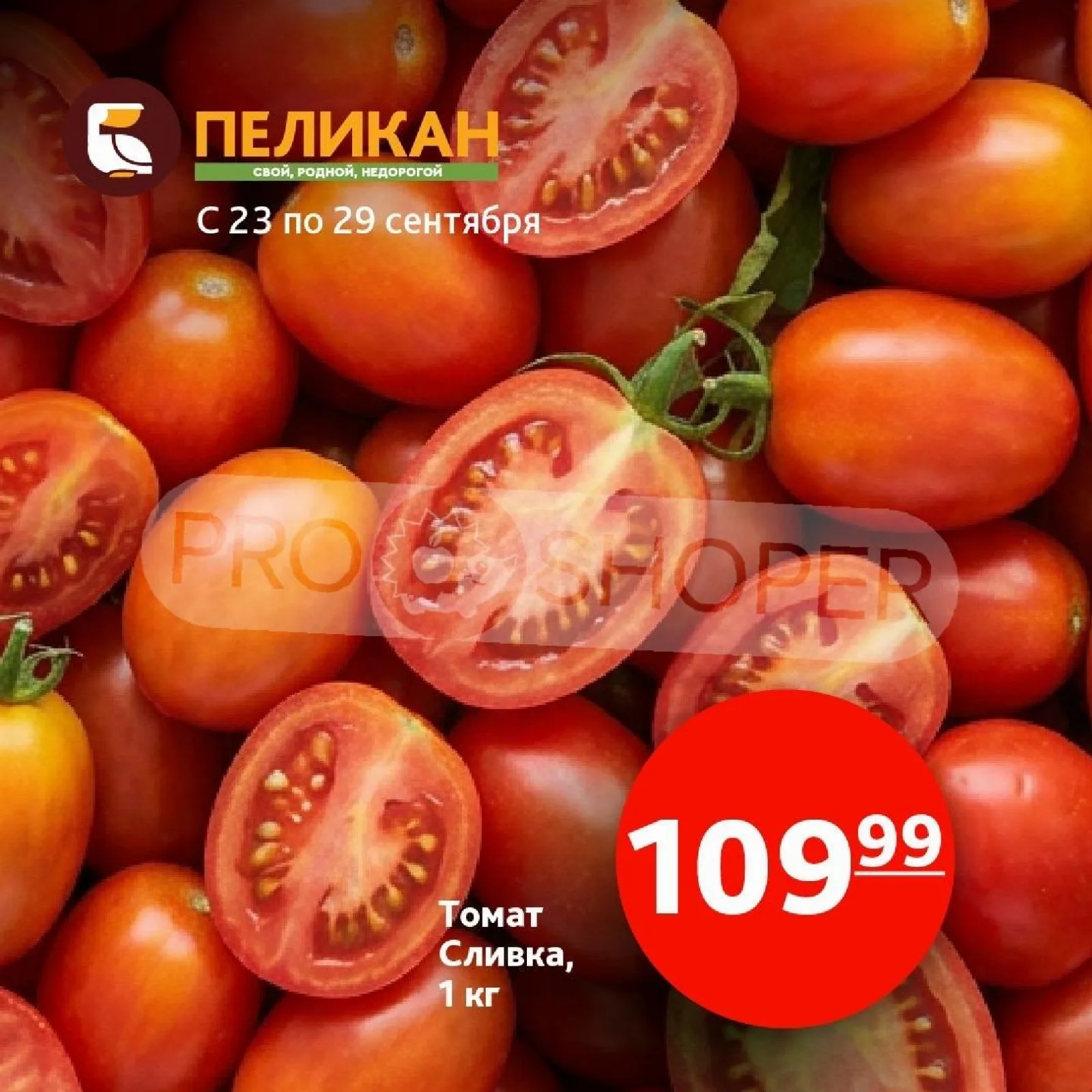 Белый Пеликан — страница 4