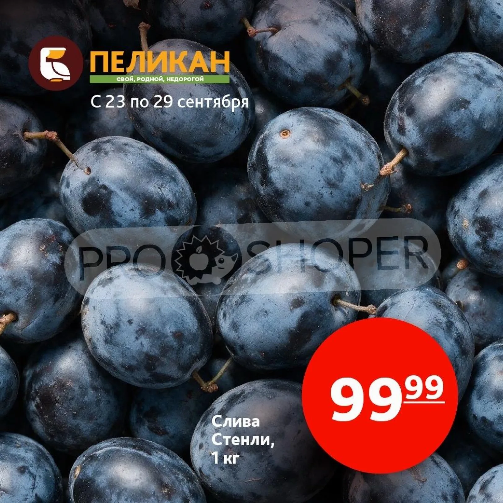 Белый Пеликан — страница 5