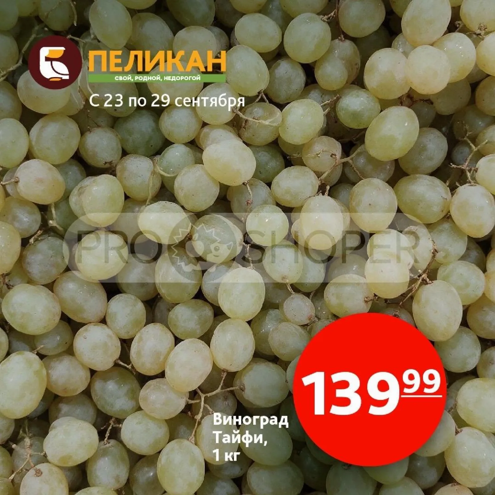 Белый Пеликан — страница 6