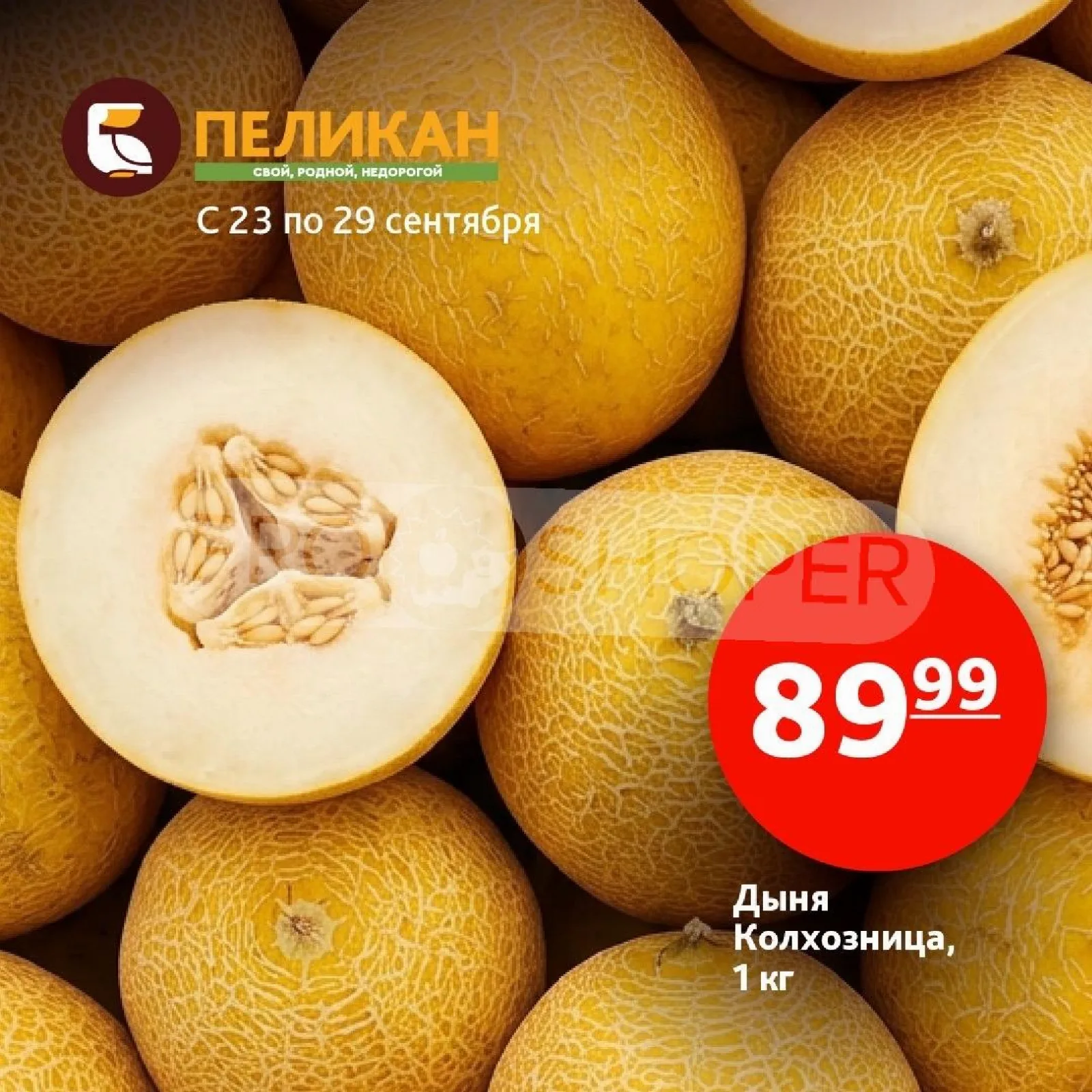 Белый Пеликан — страница 7
