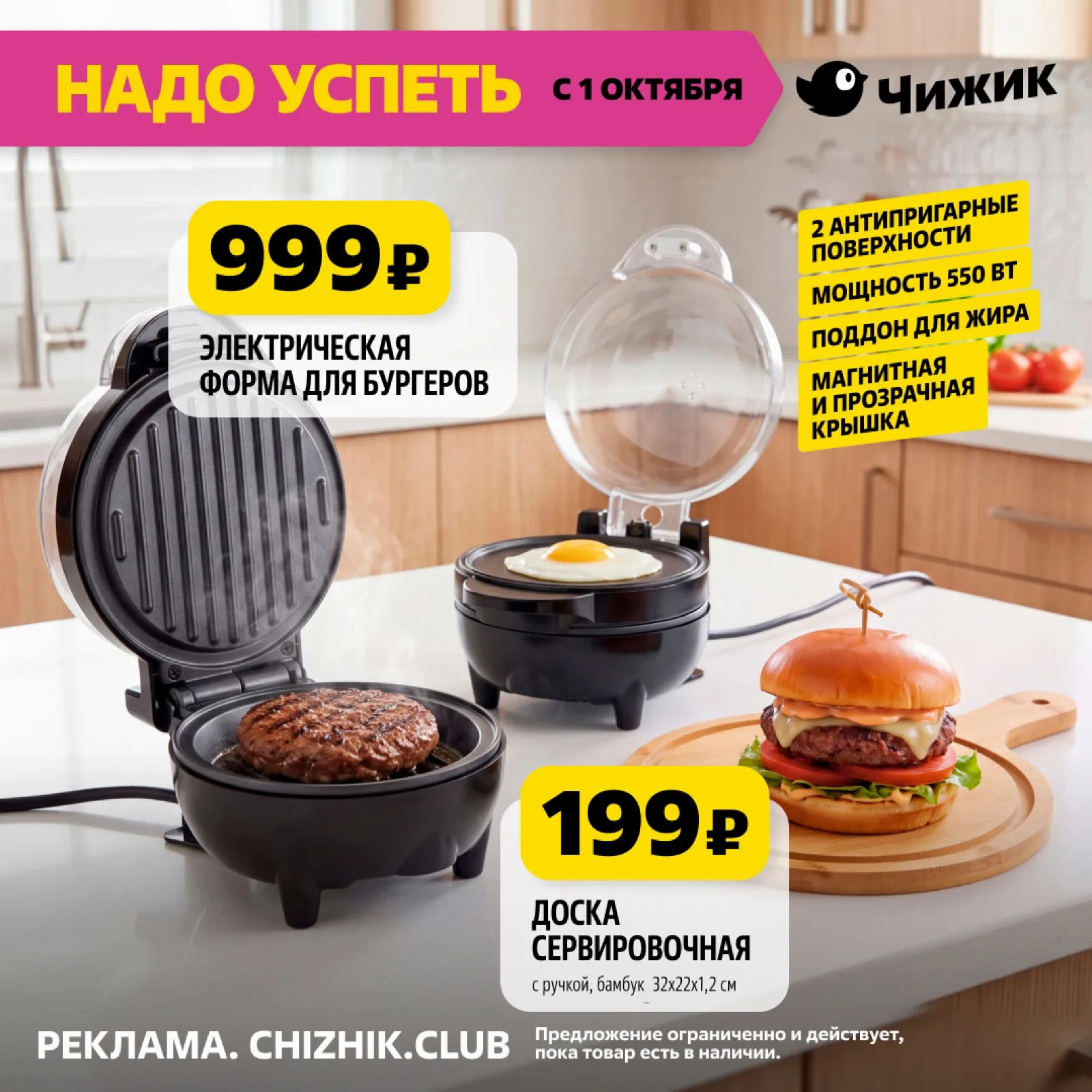 Чижик — страница 1