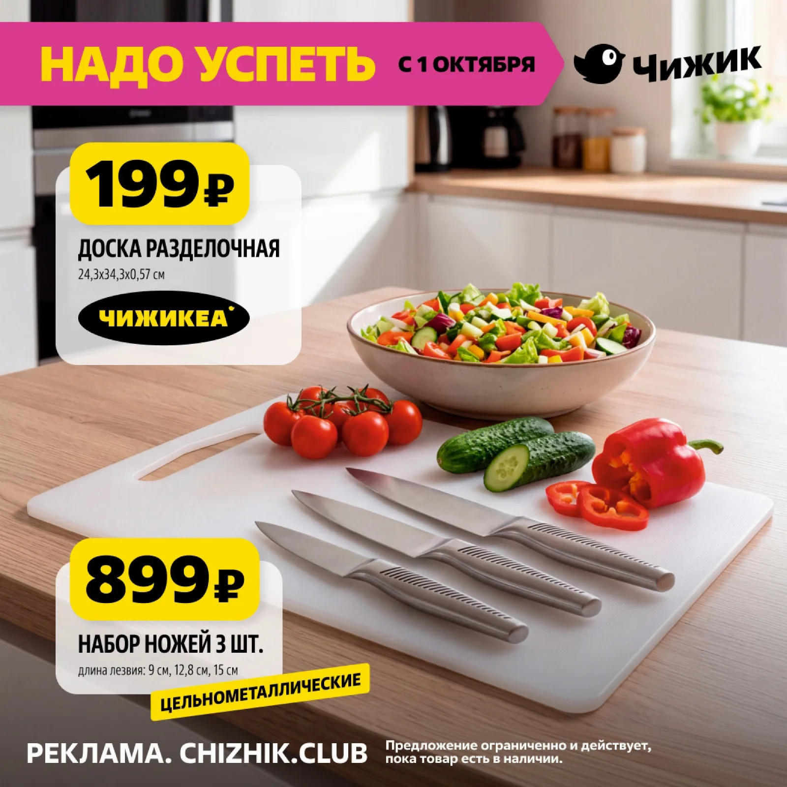 Чижик — страница 4