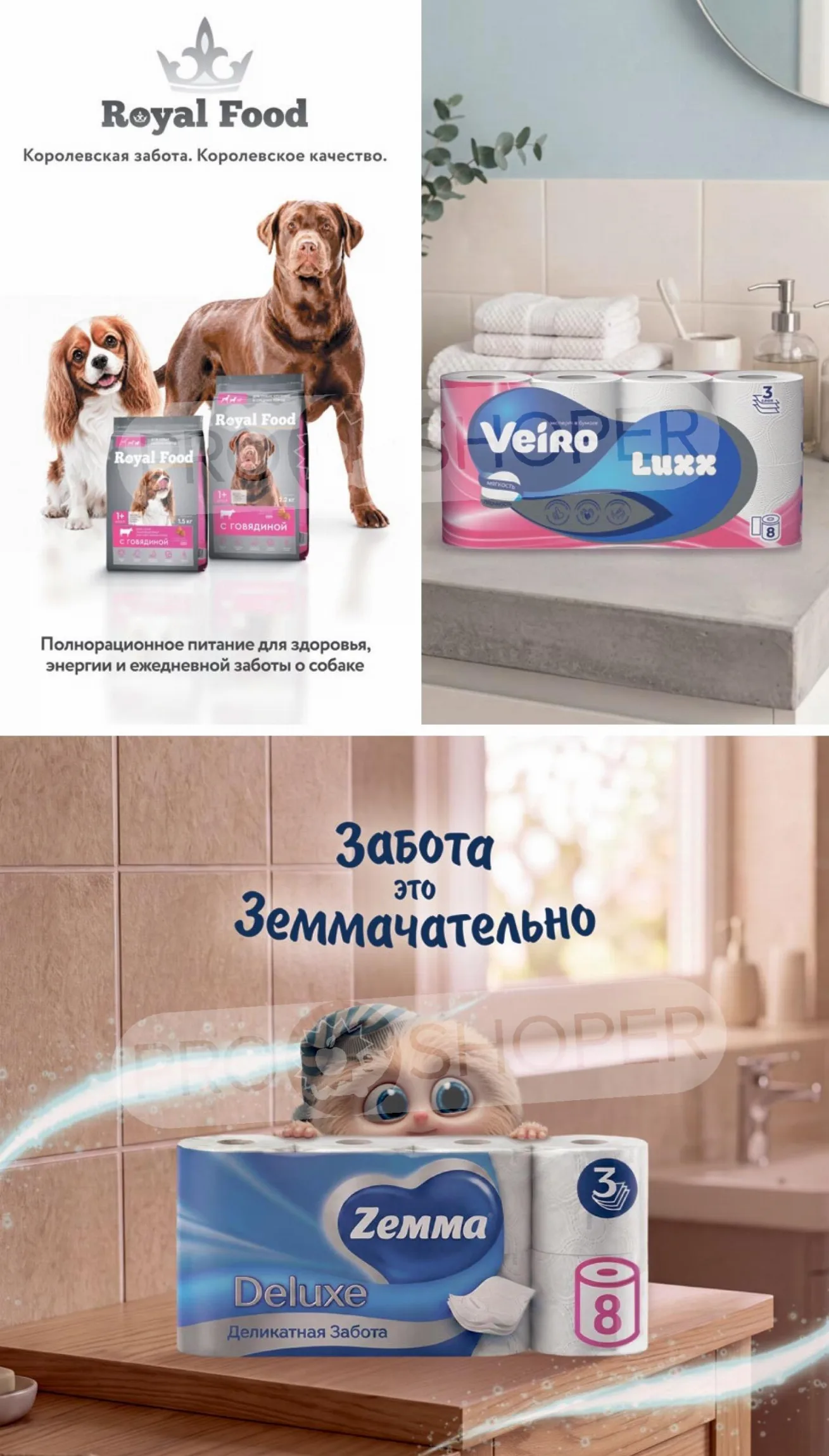 Верный — страница 36