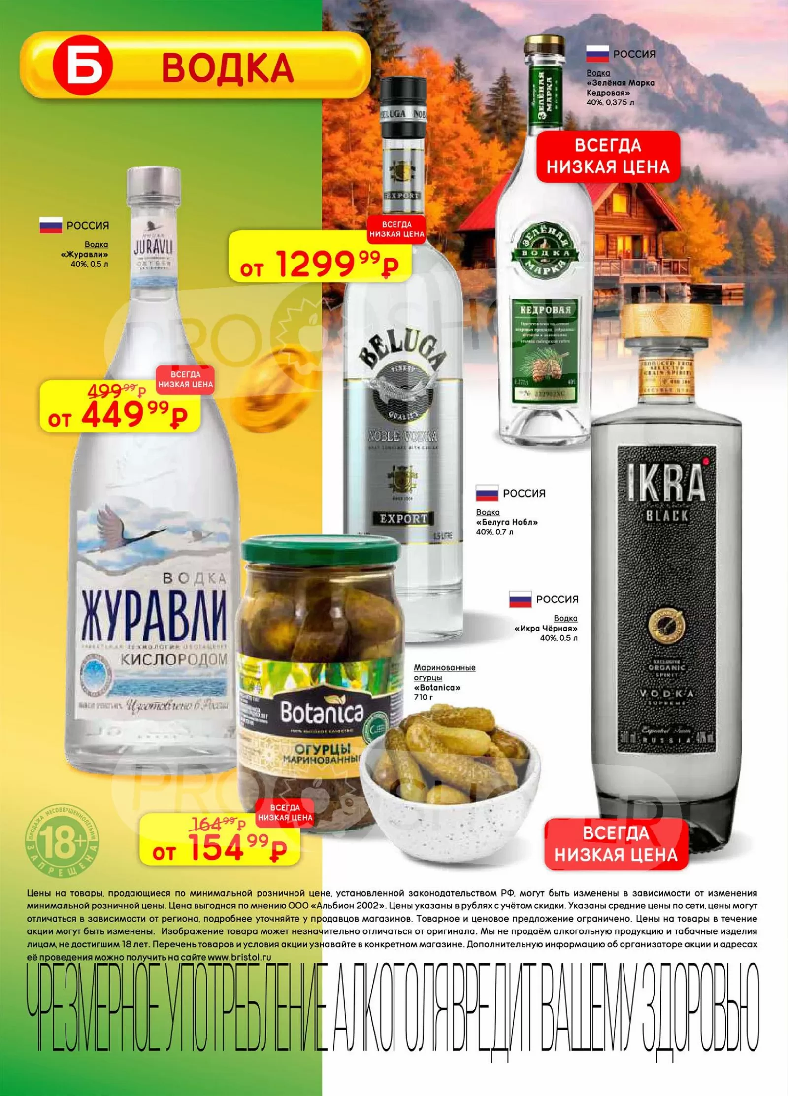 Бристоль — страница 18