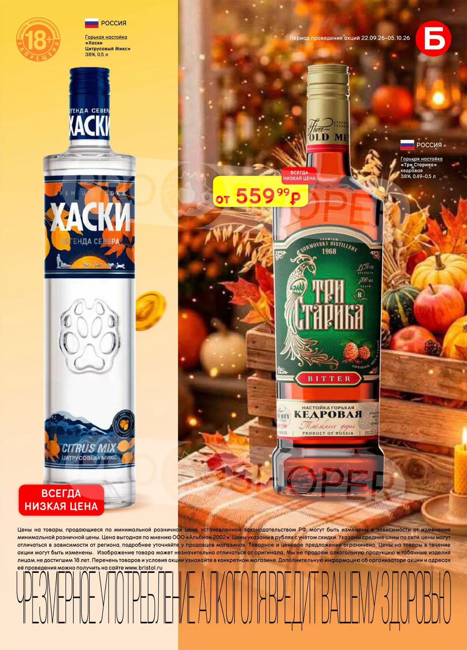 Бристоль — страница 21