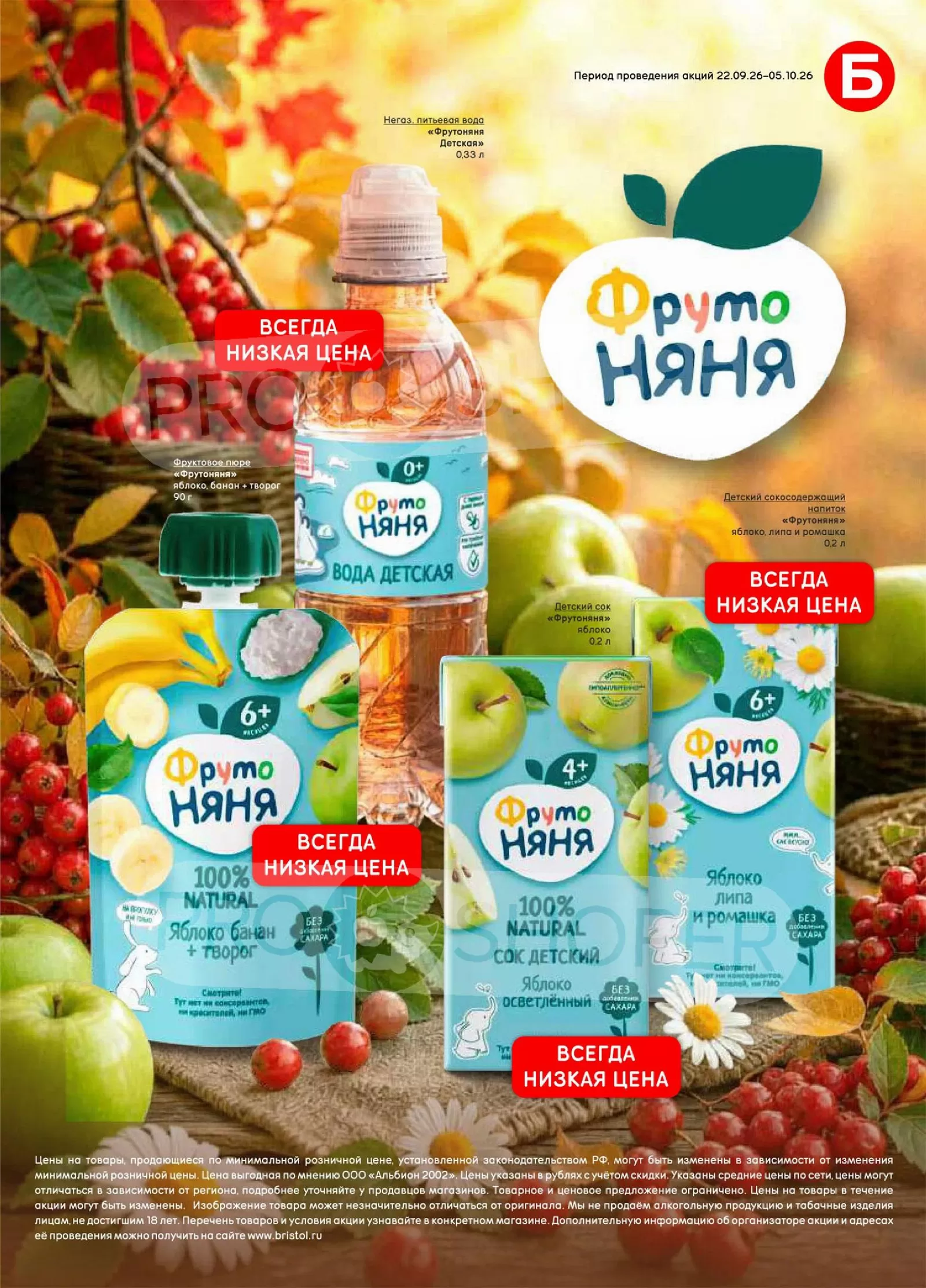 Бристоль — страница 51