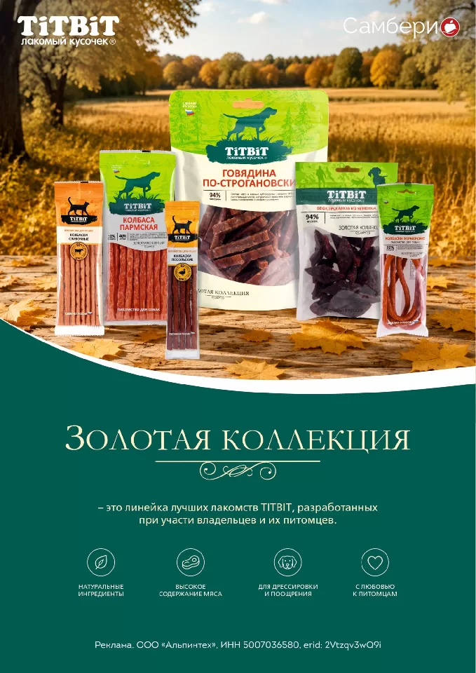 Самбери — страница 29