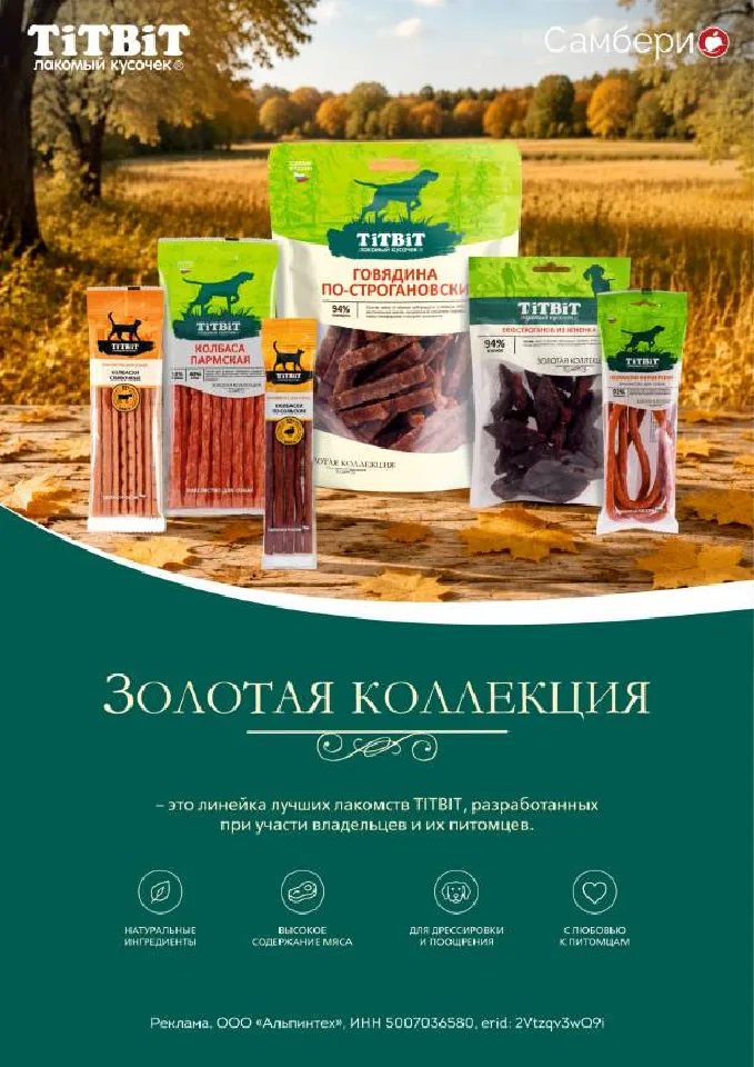 Самбери — страница 22