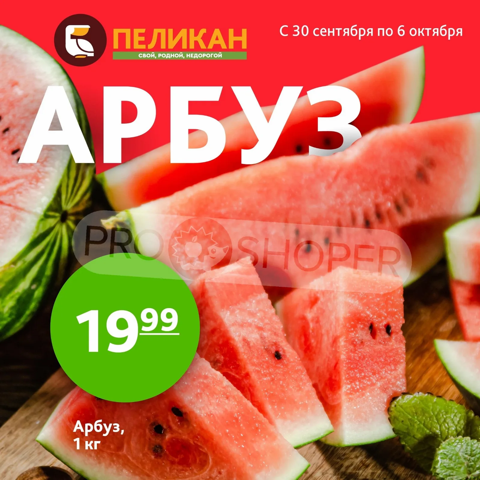 Белый Пеликан — страница 10