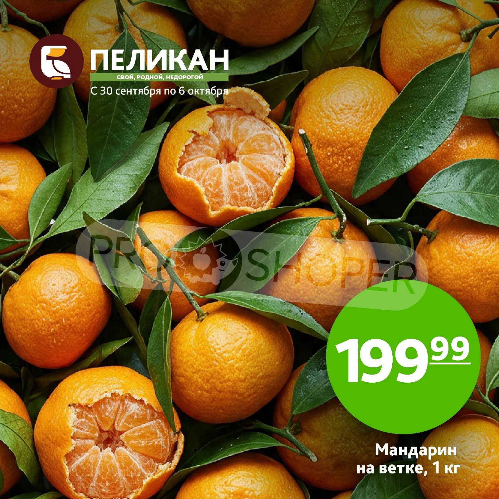 Белый Пеликан — страница 2