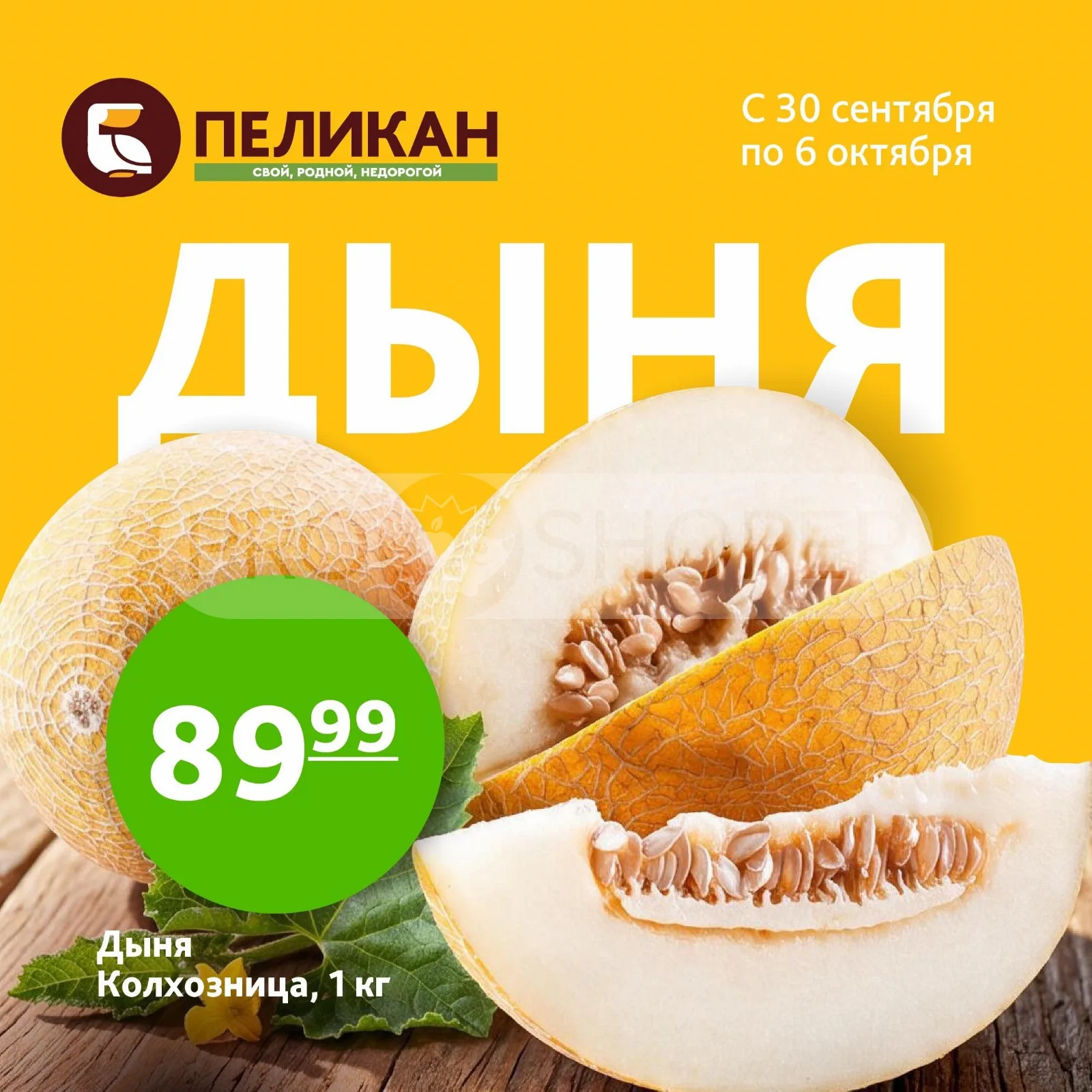 Белый Пеликан — страница 3
