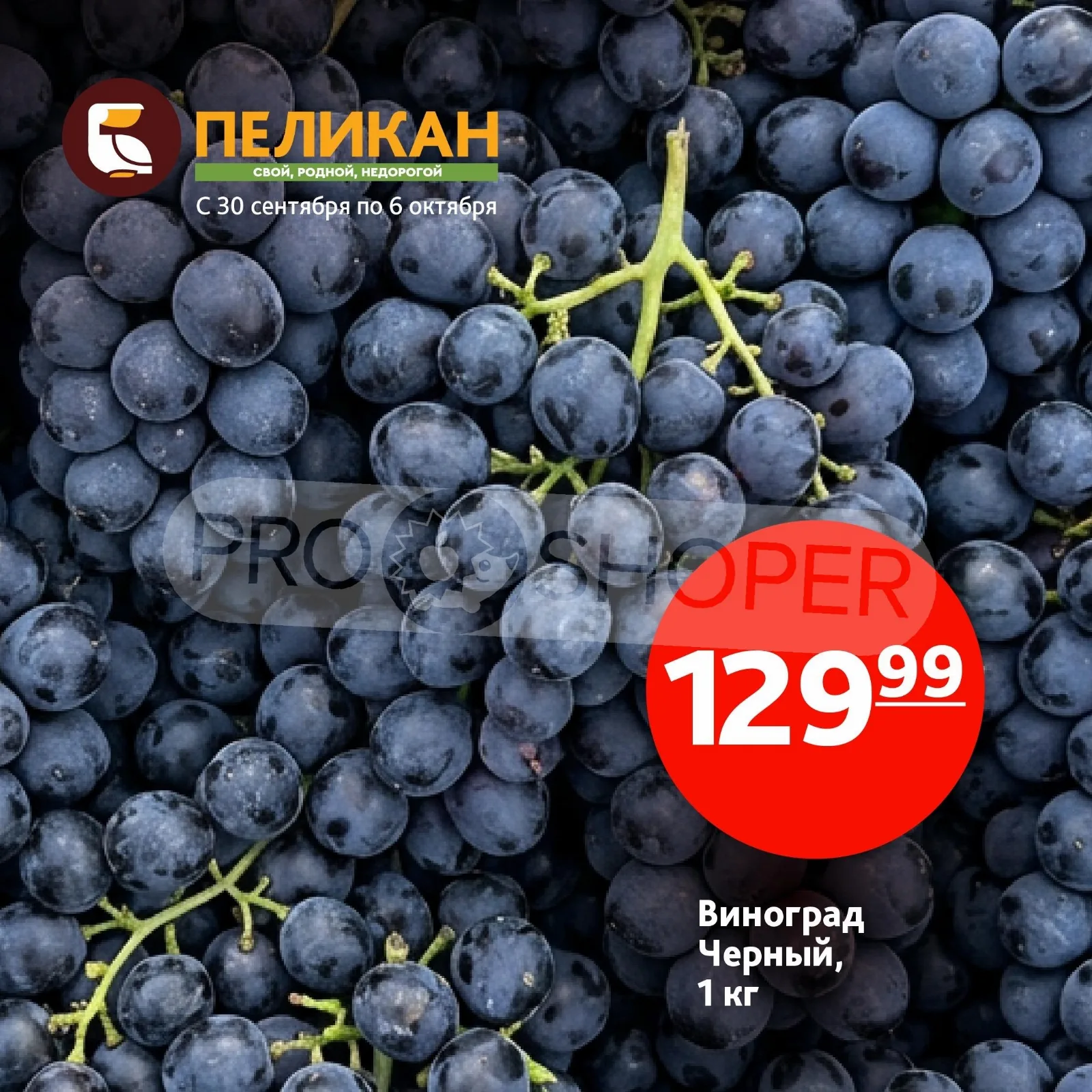 Белый Пеликан — страница 4