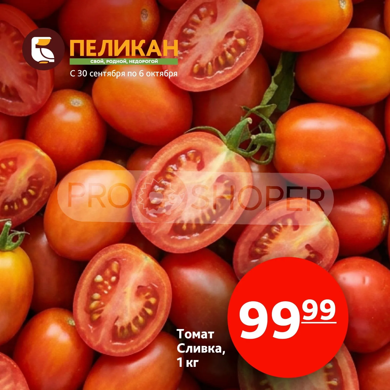 Белый Пеликан — страница 5