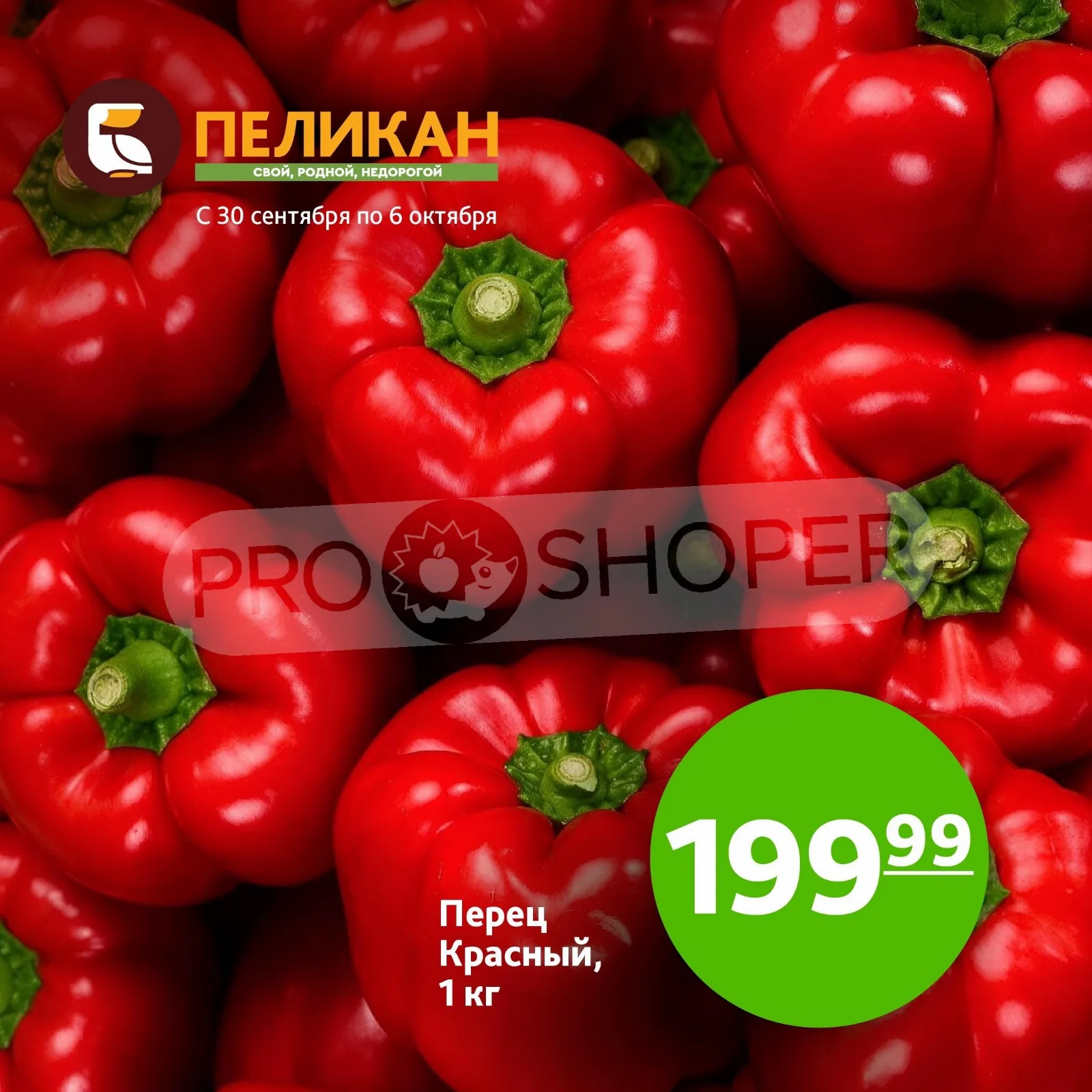 Белый Пеликан — страница 6
