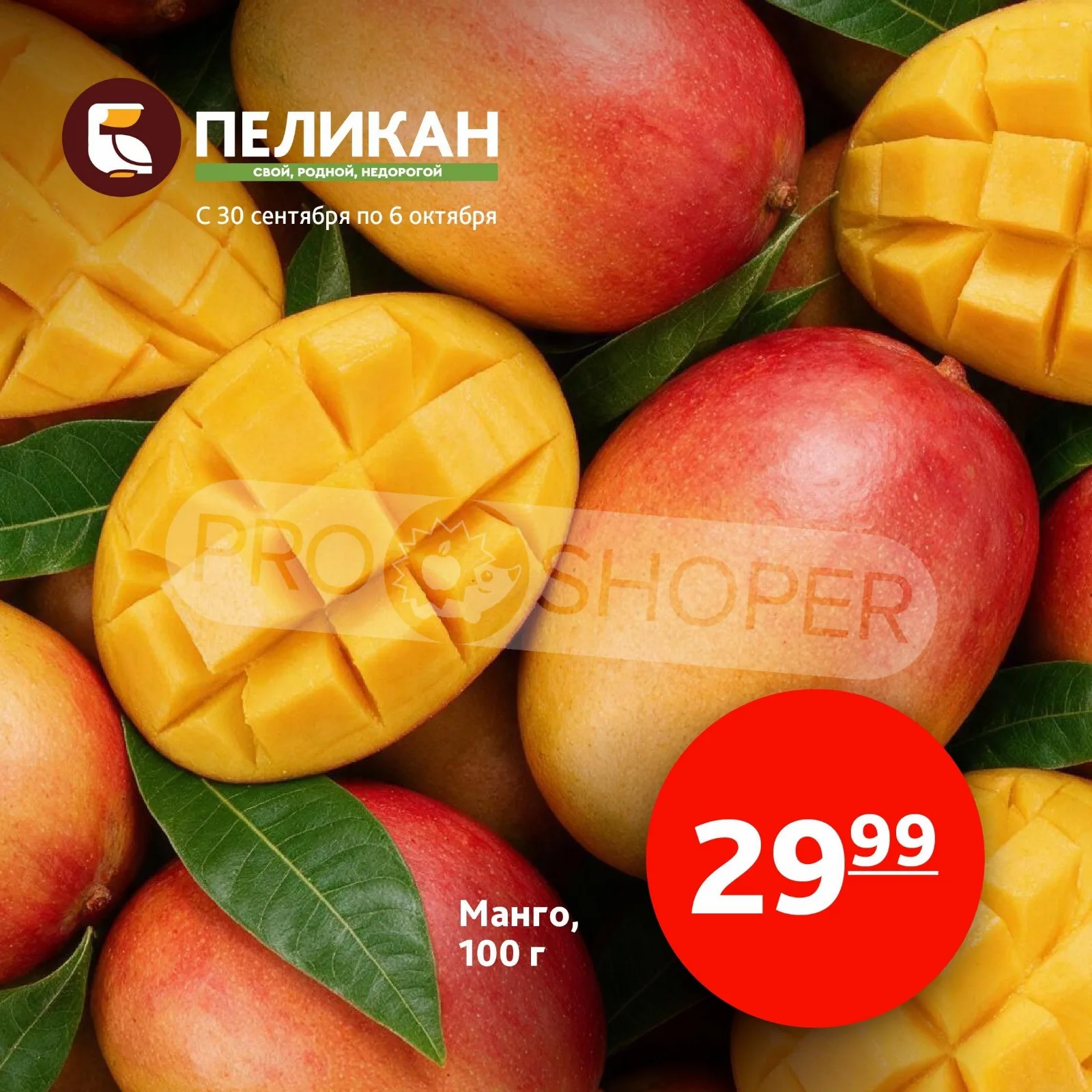 Белый Пеликан — страница 7