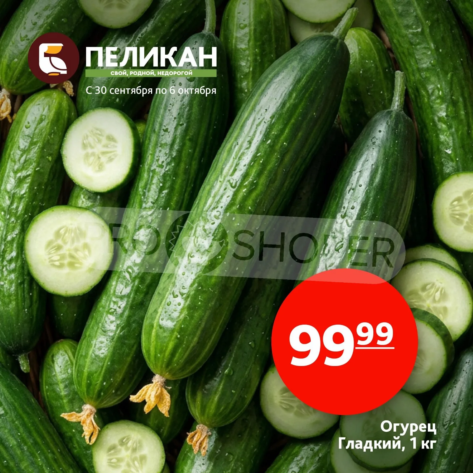 Белый Пеликан — страница 8