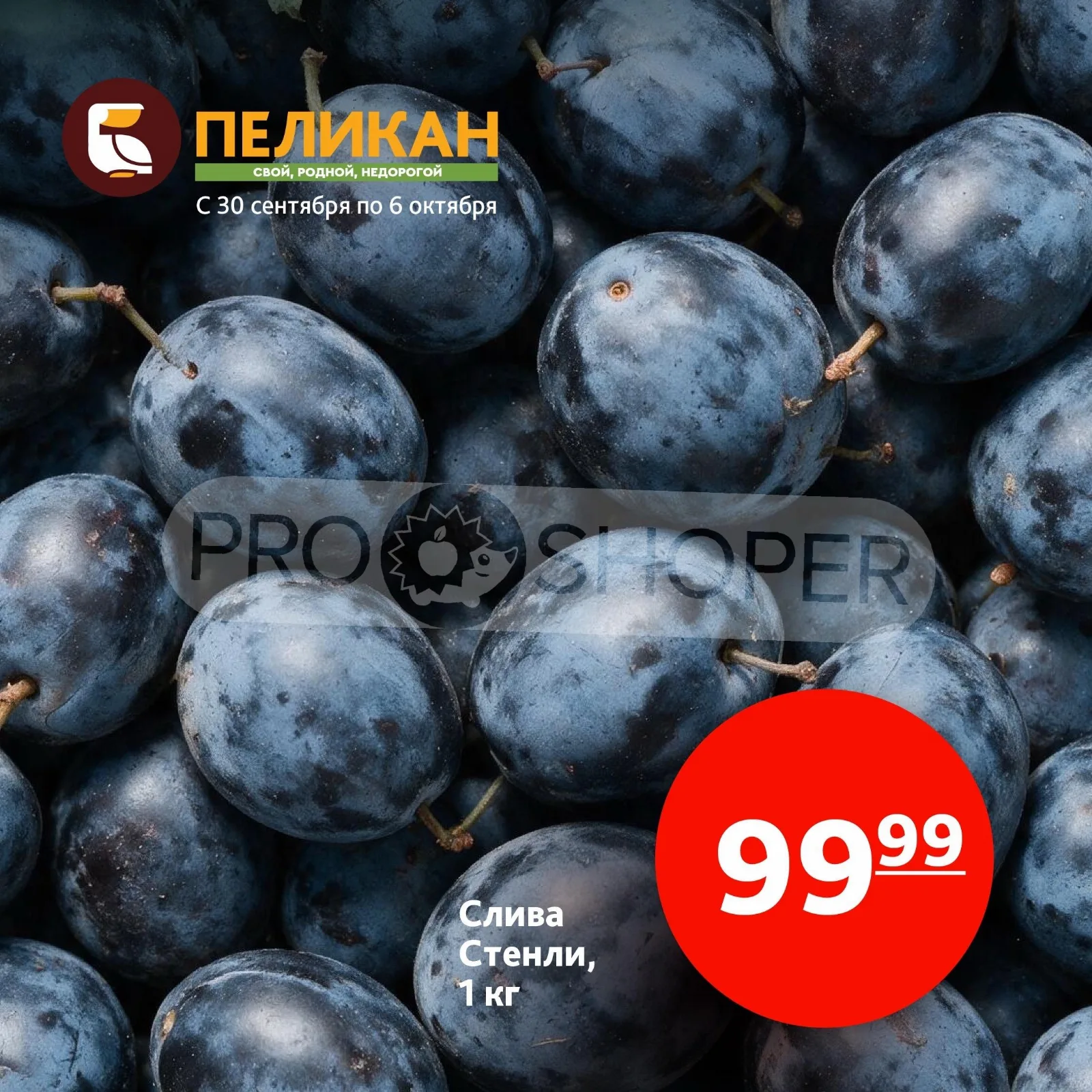 Белый Пеликан — страница 9