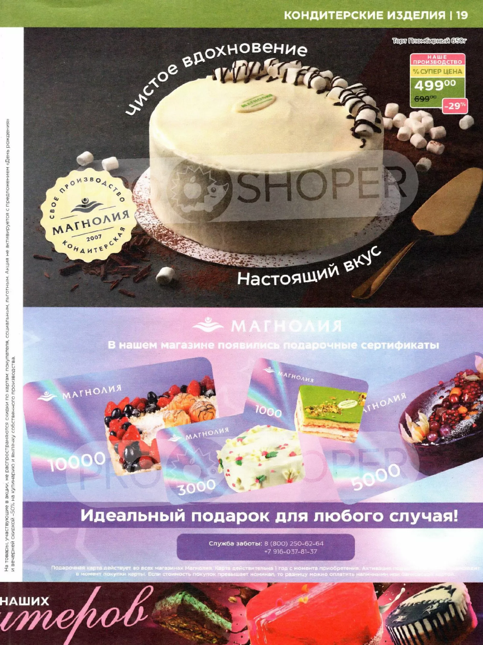 Магнолия — страница 19