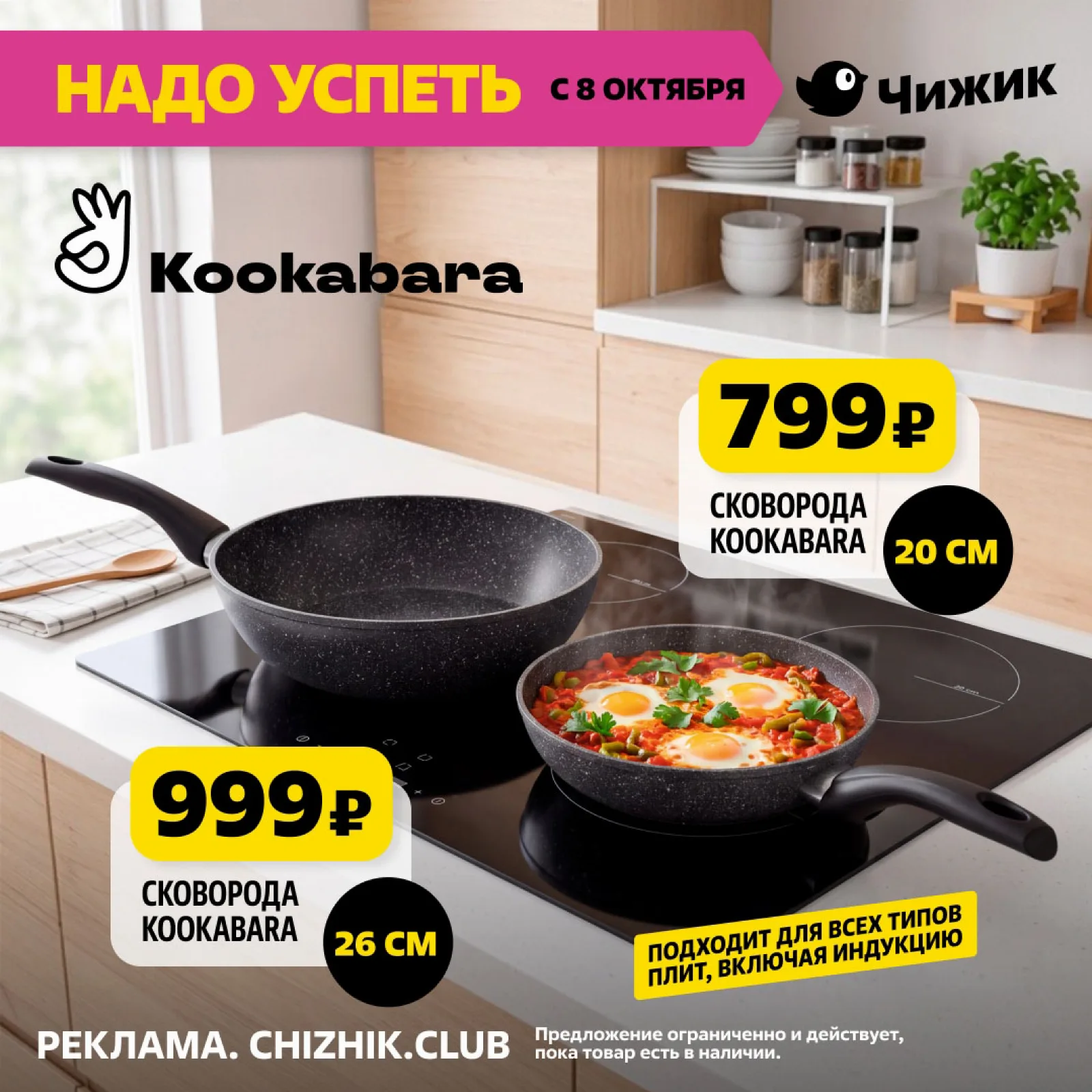 Чижик — страница 1