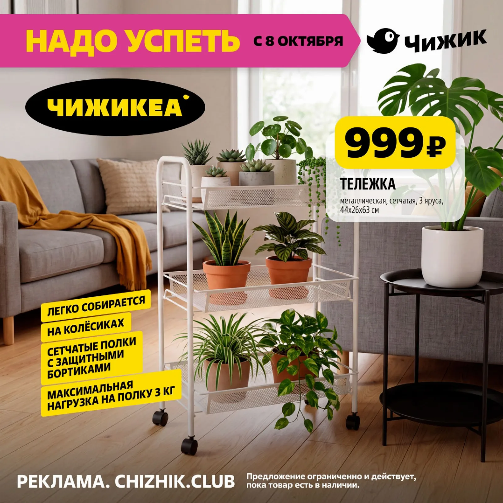 Чижик — страница 4