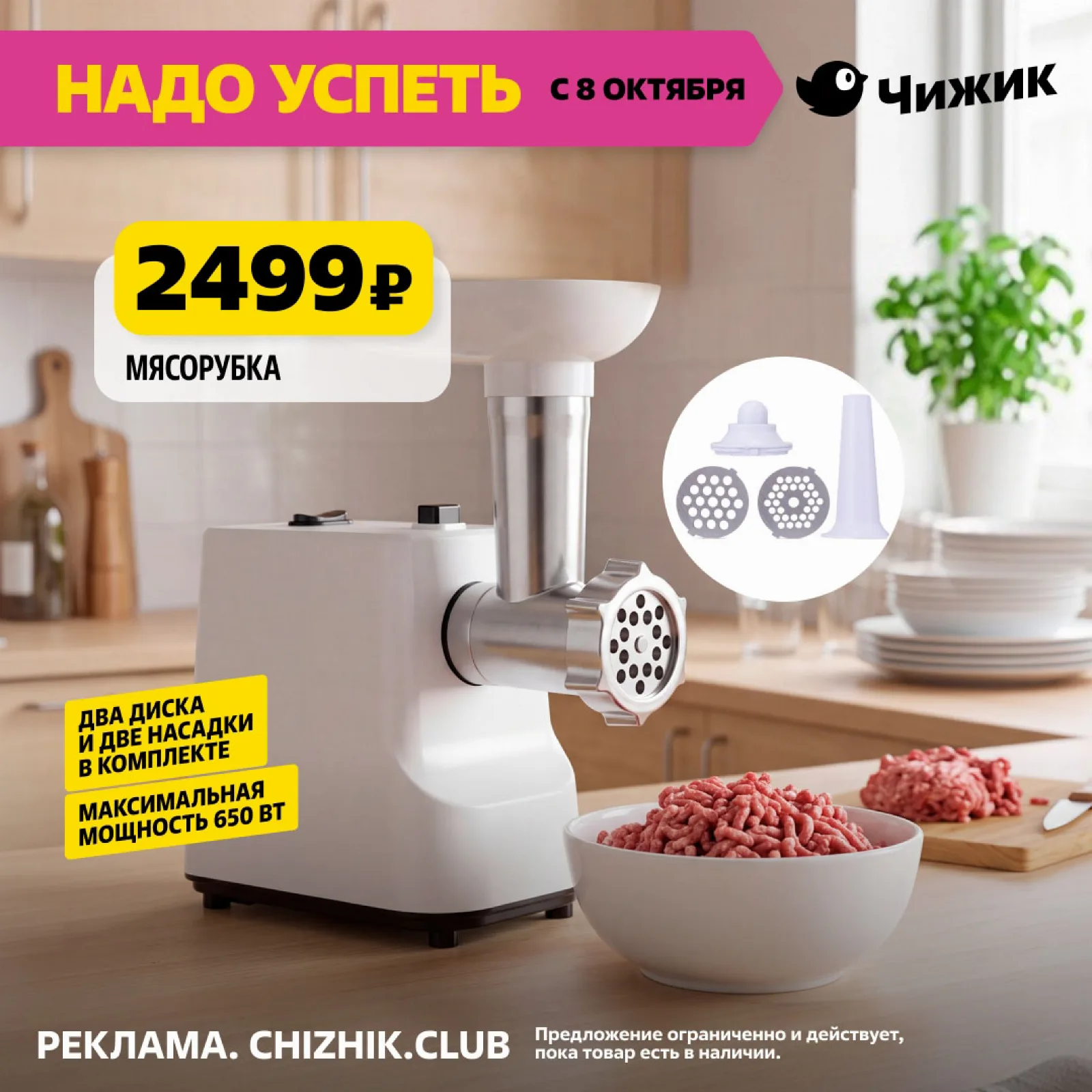 Чижик — страница 5